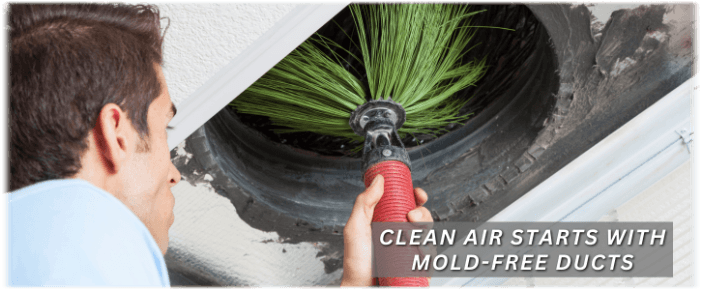 Air Duct Mold Removal in Plainfield IL