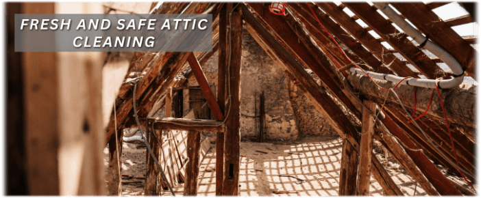 Attic Cleaning Plainfield IL